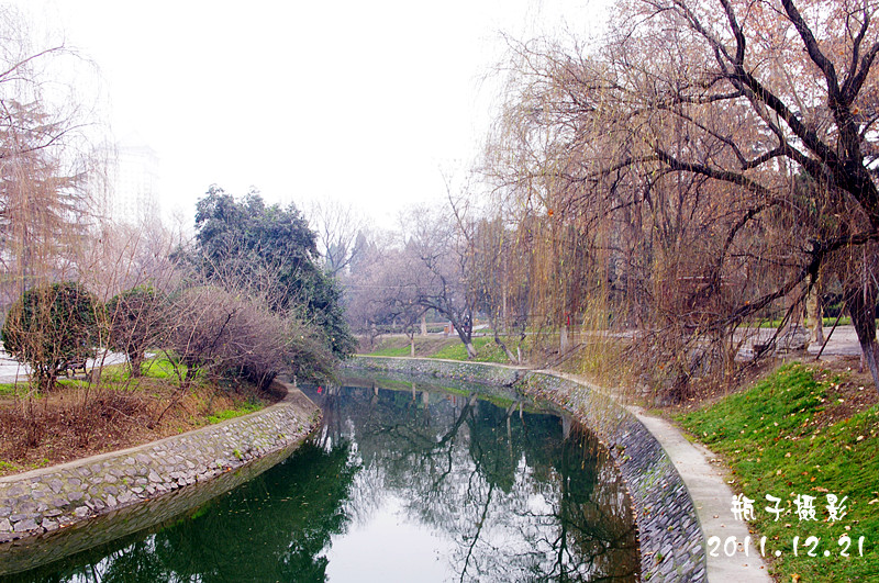 IMGP4197.jpg