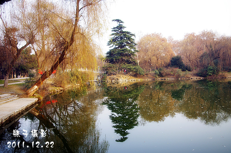 IMGP4300.jpg