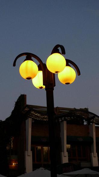 P1050433.JPG