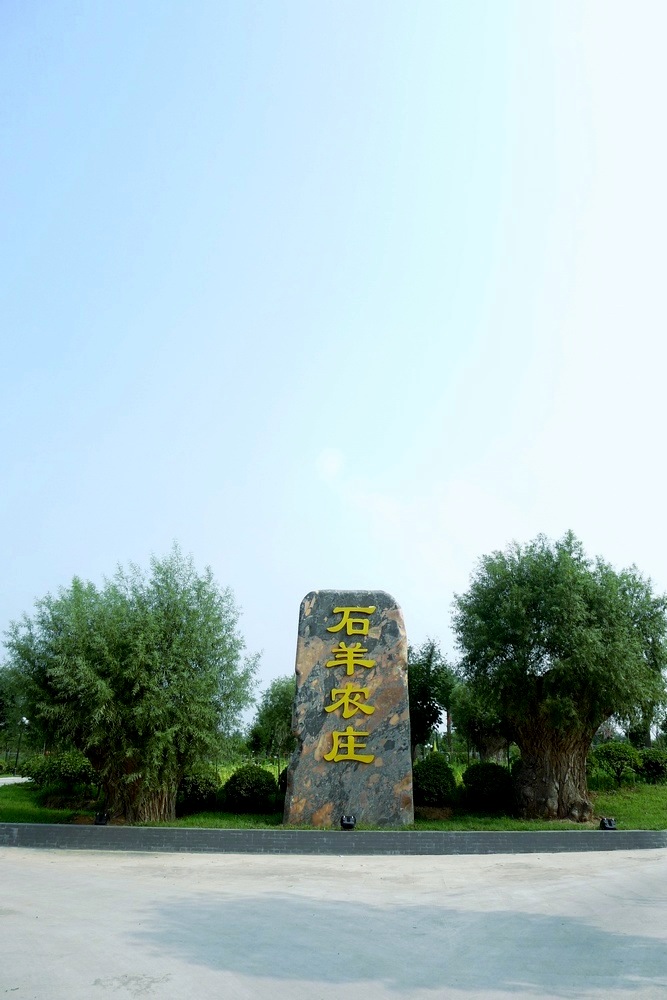 02.jpg