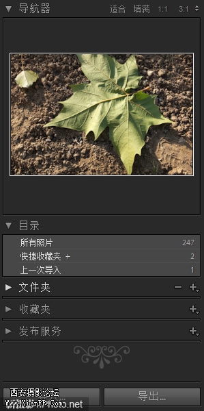 6a95238c5238a02c.jpg