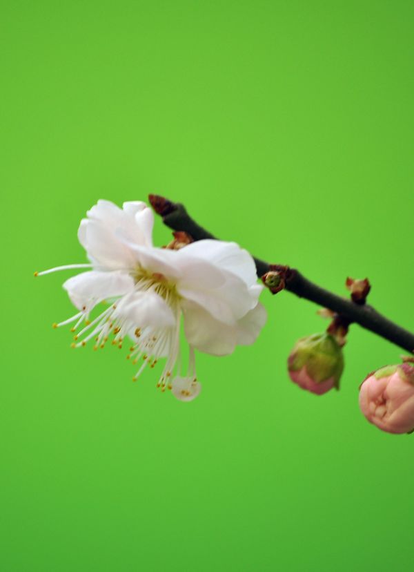 照片 60811.jpg