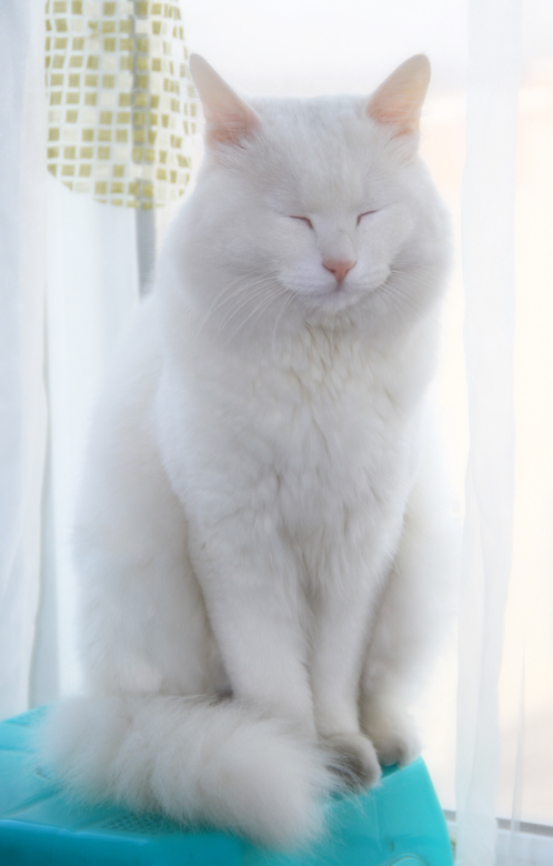 太平峪风景 027.jpg