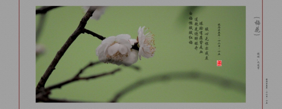 DSC_0075_conew1.jpg