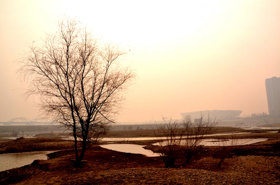 DSC_0633.jpg