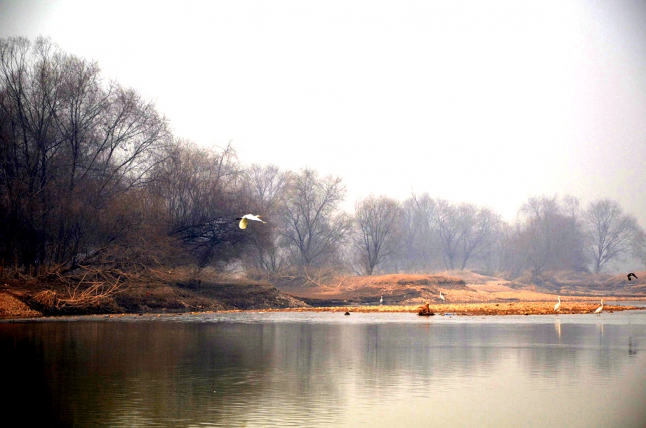 DSC_0668.jpg