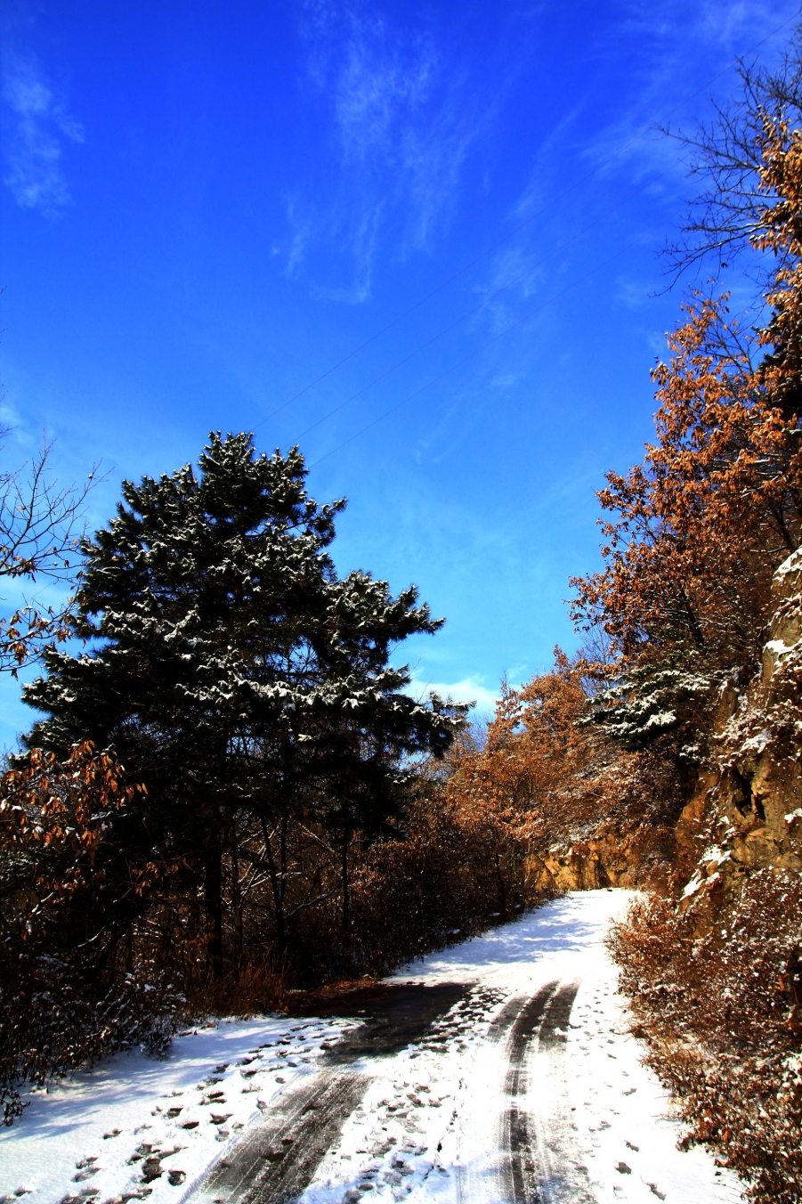 IMG_5546.jpg