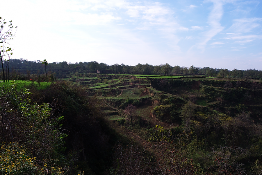 L1000785.png