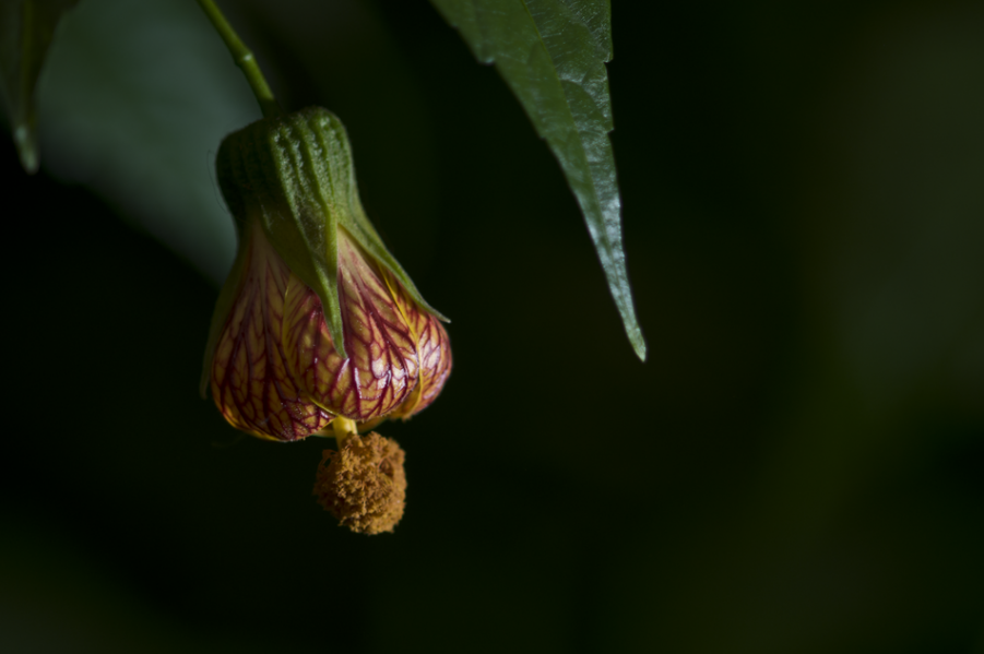 DSC_3411_调整大小.png