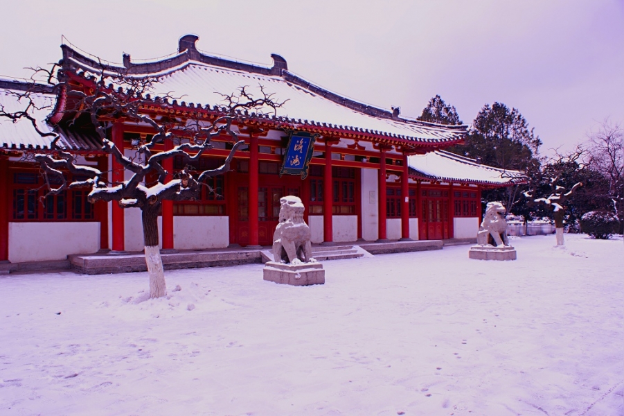 DSC02935.JPG