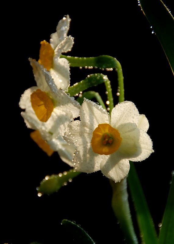 DSC_0051.jpg