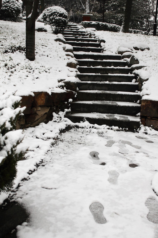 雪中的路我们总渴望是崭新的
