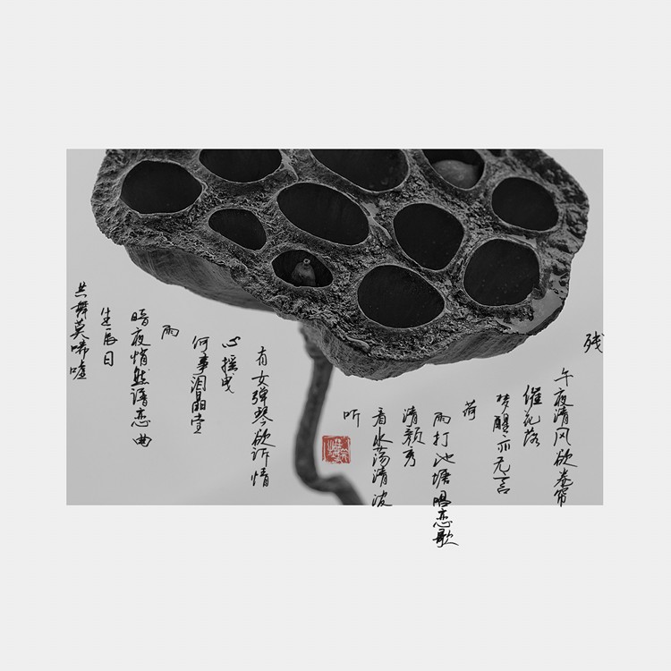 02封面.jpg