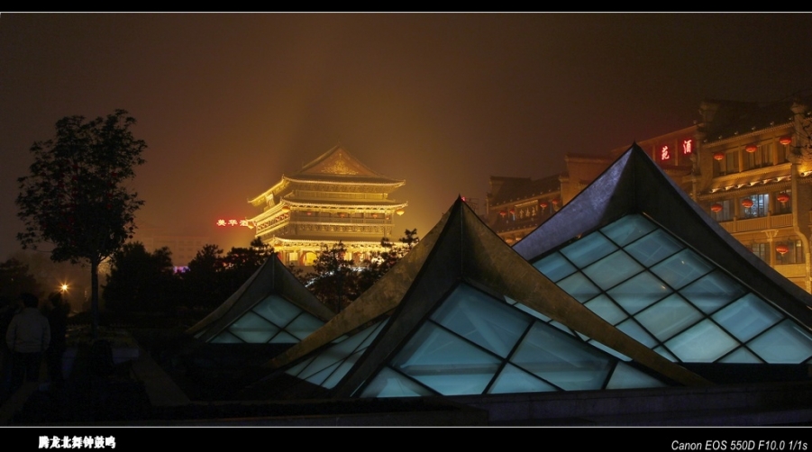 _4048_conew1.jpg