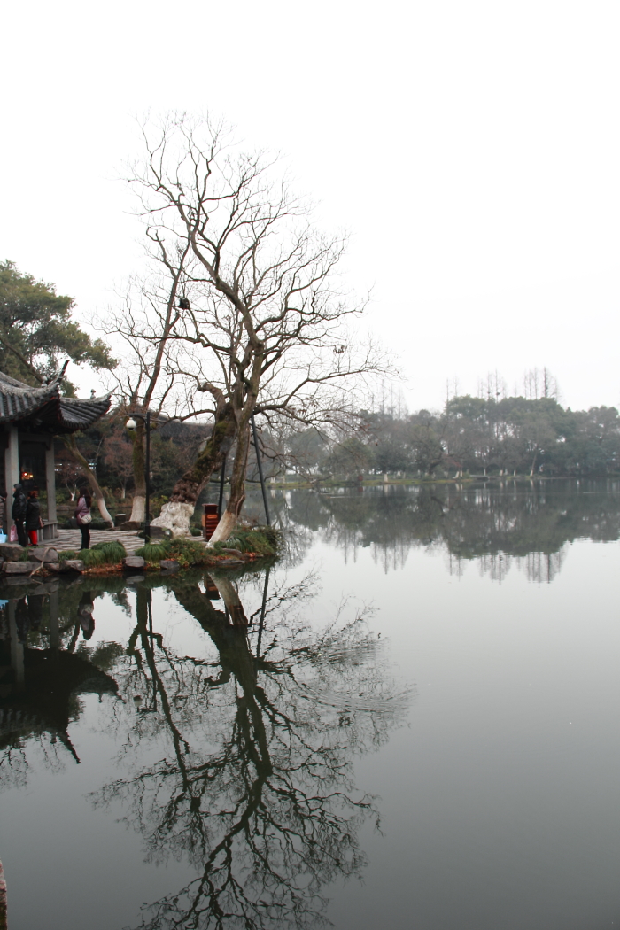 静静的西湖0005.JPG