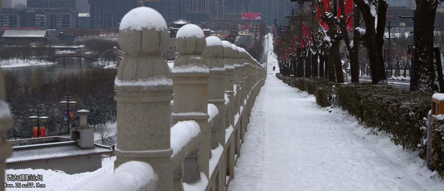 DSC01946.jpg