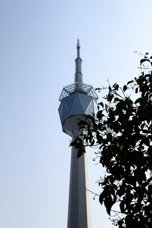DPP_0032.jpg
