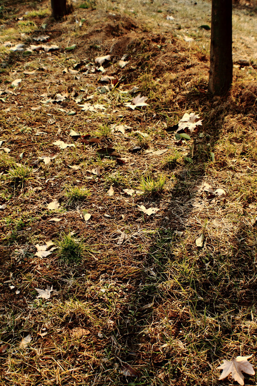 DPP_0047.jpg