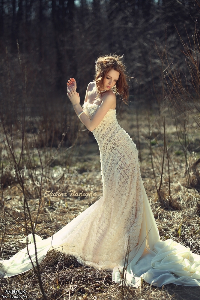 231140x3jr3rwlxz9p275p.jpg