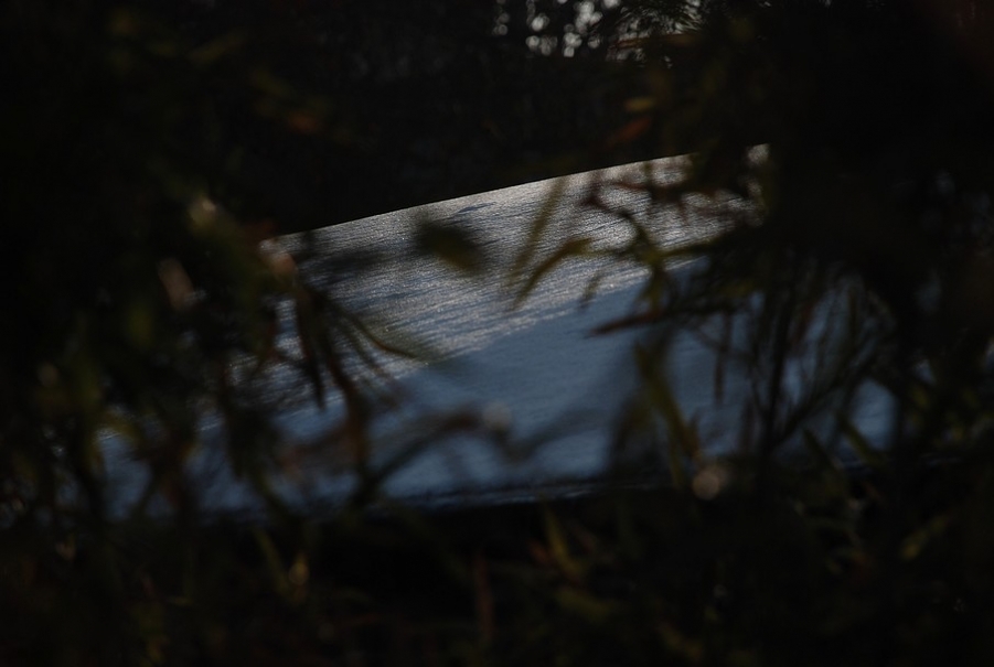 DSC_0353.JPG