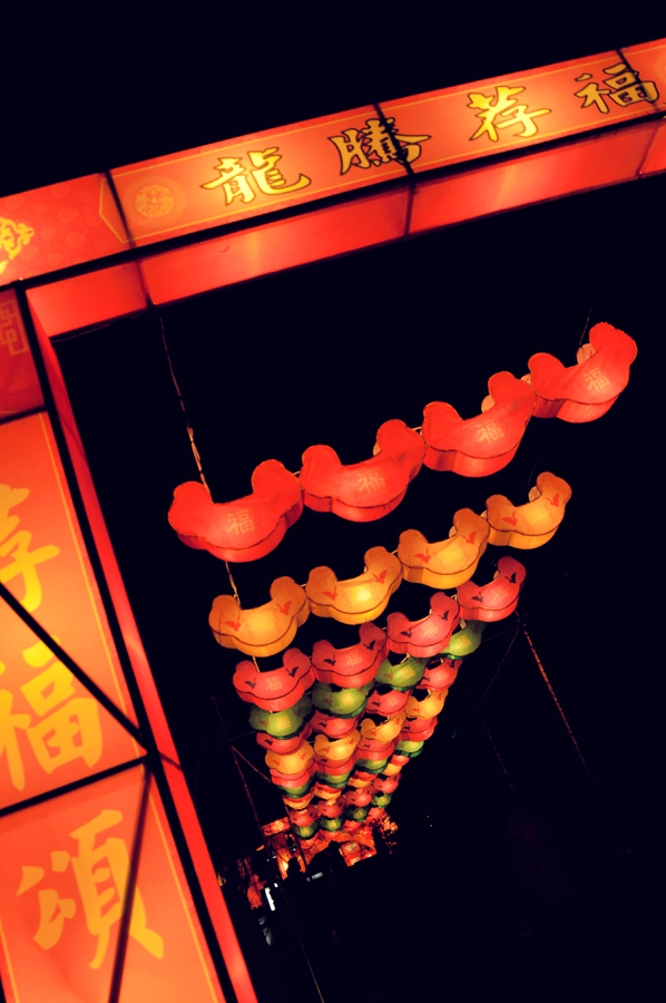 元宵佳节摄影 (35).jpg