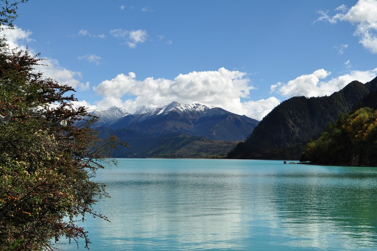 DSC_0484.jpg