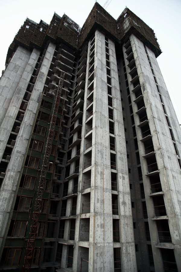 小狗 ISxxb11_调整大小.JPG