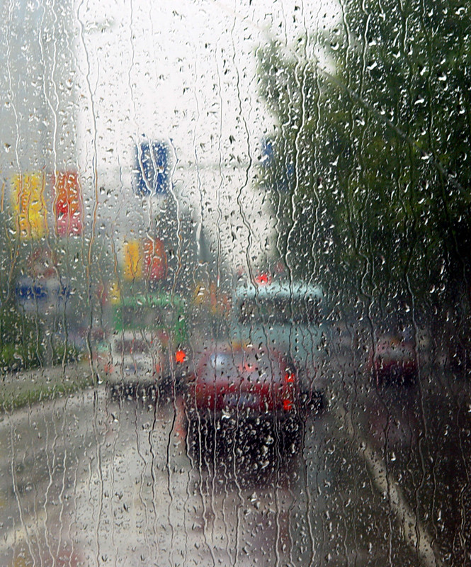 dsc00942_副本.jpg