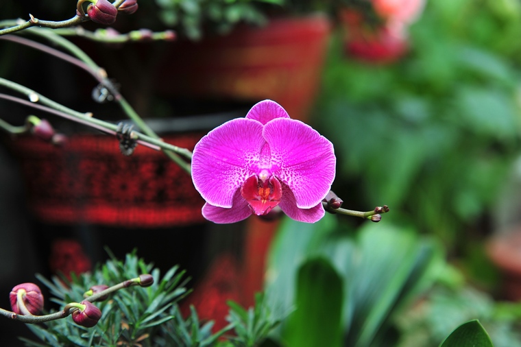 DSC_8715.jpg