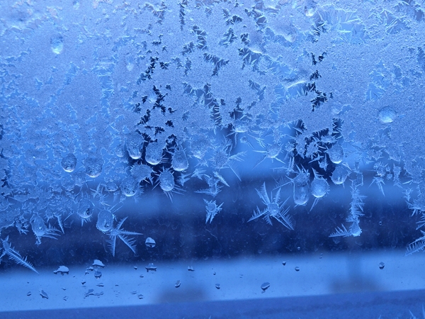 2010-01-07.jpg