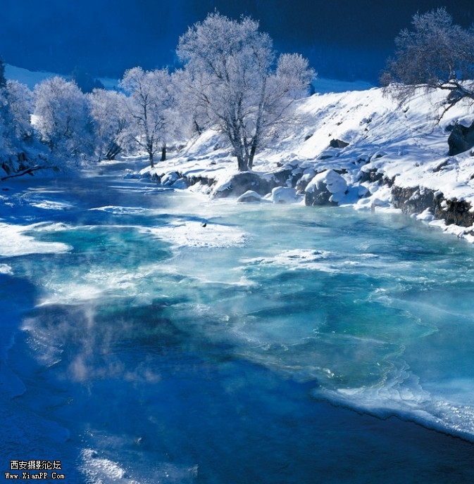 WangC10-673x688.jpg