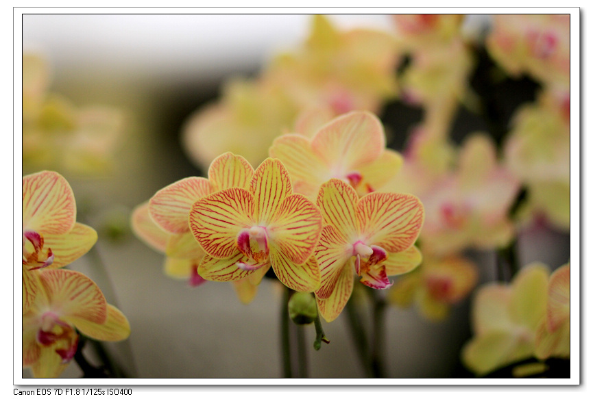 花 044.jpg