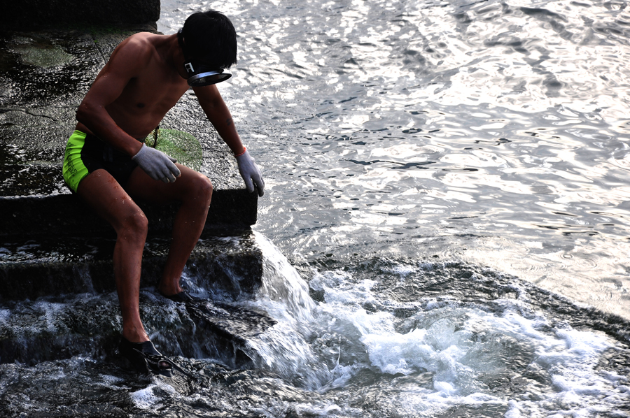 DSC_2527.JPG