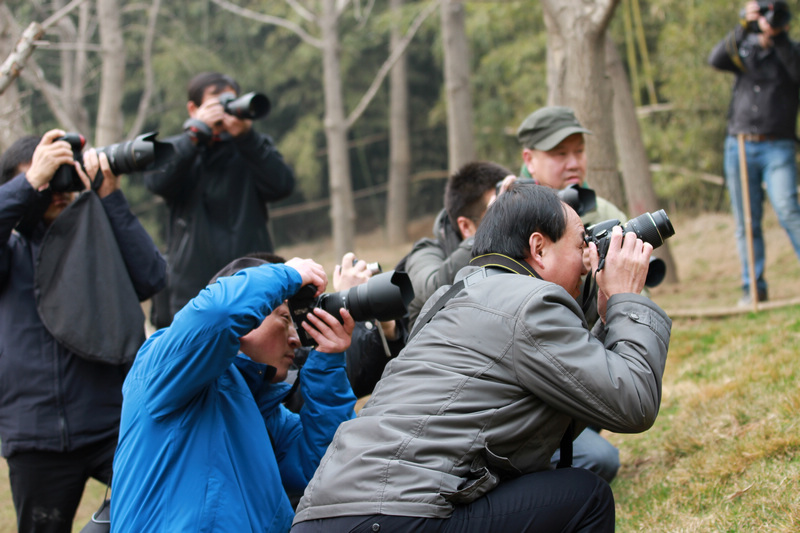 曲江活动作品 194.jpg