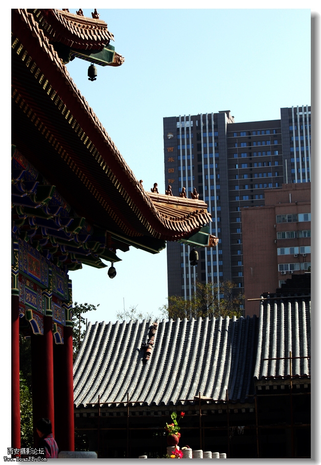 nEO_IMG_2011.10.16兴善寺--完美 056.jpg