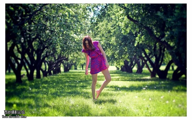 1005306xdlfh8avihxicls.jpg