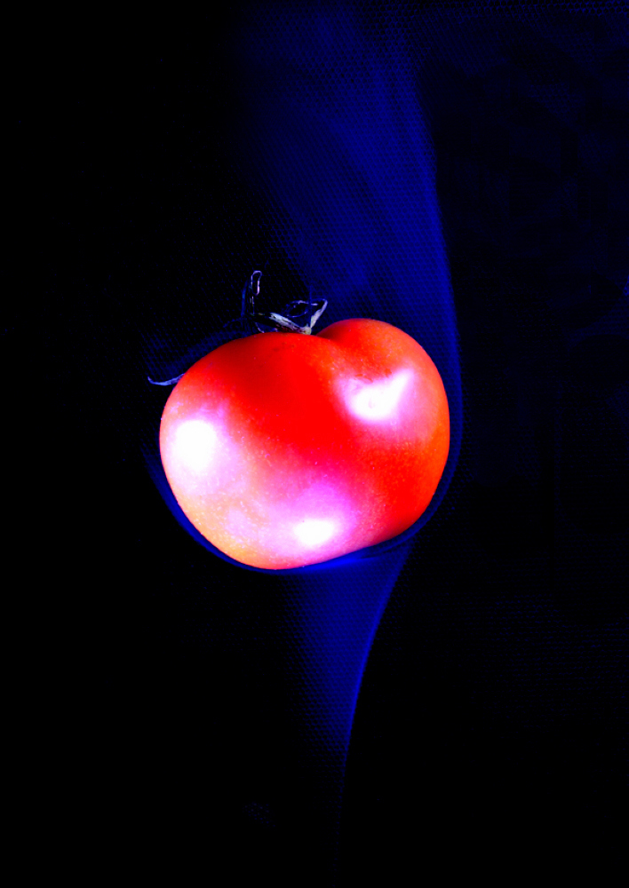 06.jpg