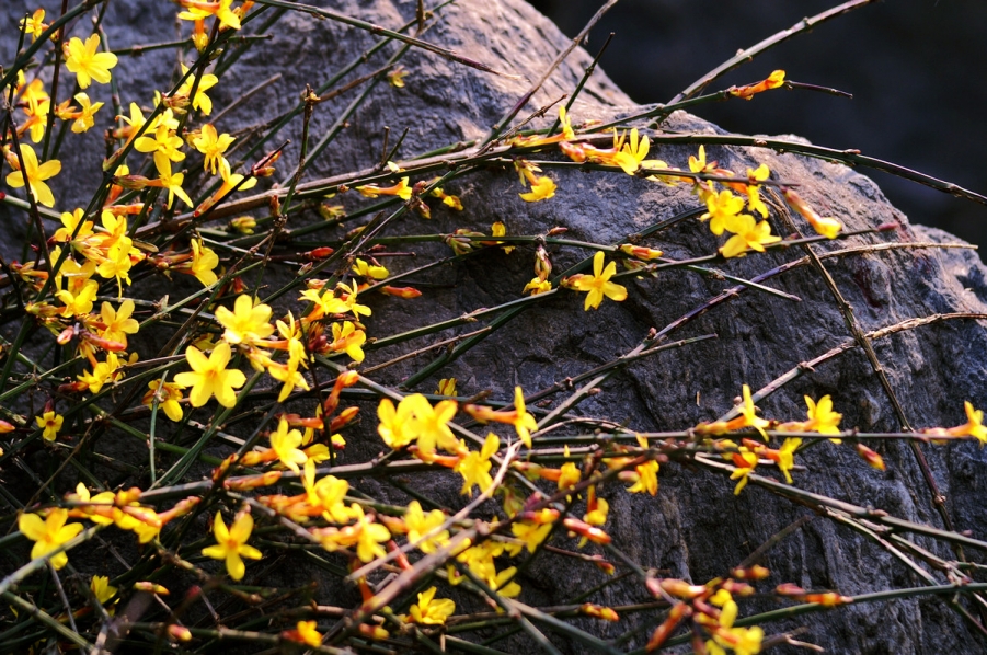 PICT0696.JPG