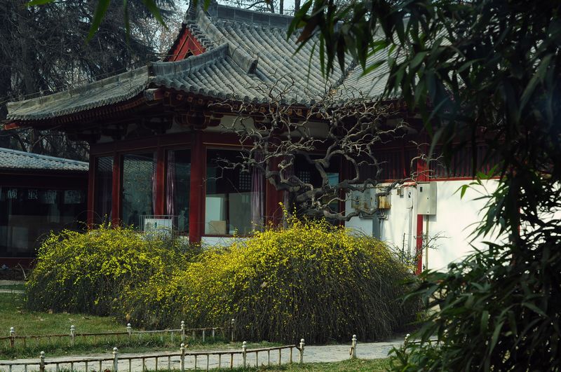 照片 040123.jpg