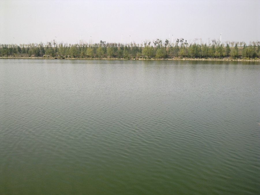 20111120579.jpg