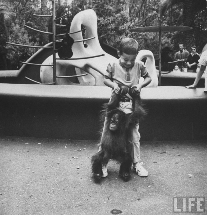 Little-boy-playing-w.-monkey-at-childrens-zoo.-673x699.jpg