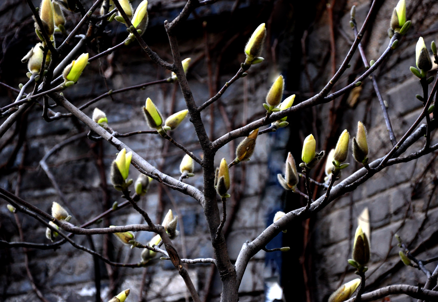 DSC_0257.JPG
