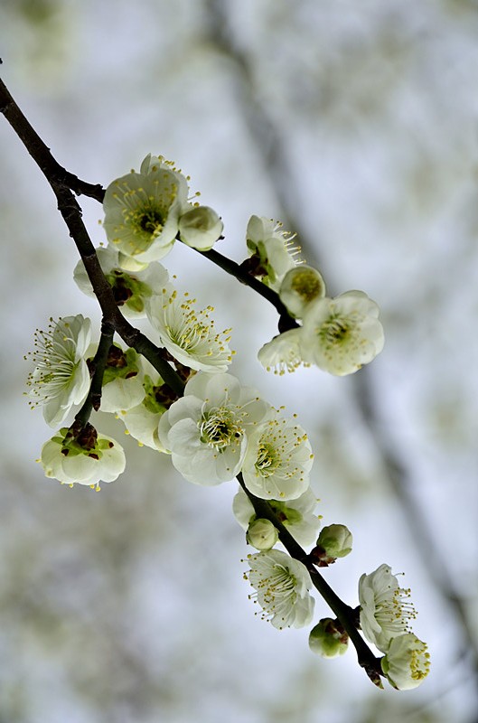 照片 021_旋转_副本_旋转.jpg