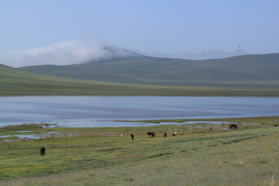 调整大小 IMG_0183.JPG