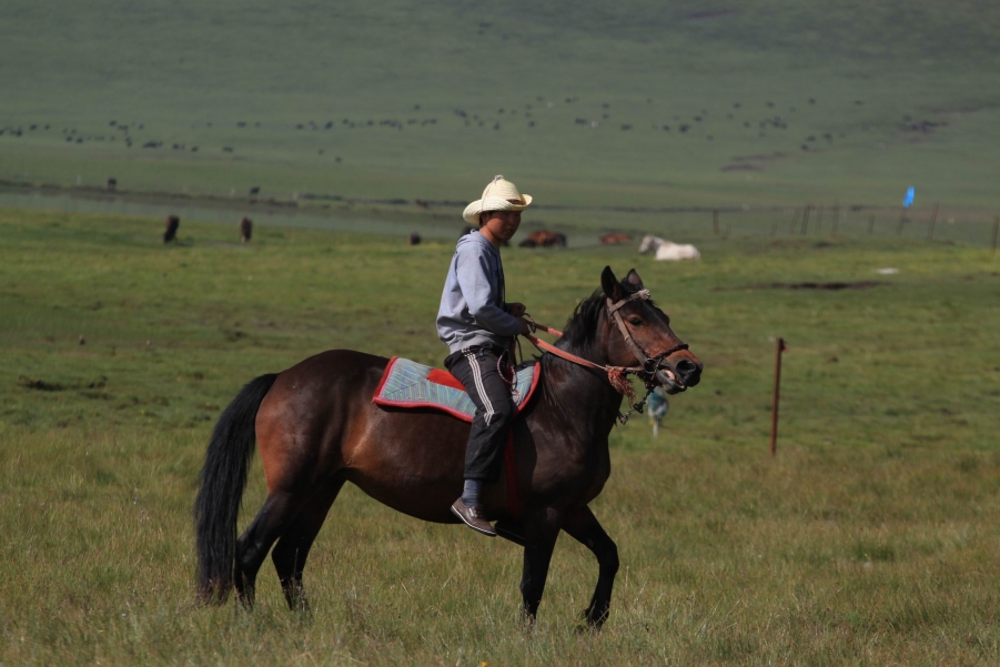 调整大小 IMG_0249.JPG