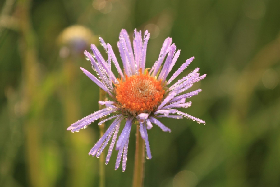 调整大小 IMG_0170.JPG