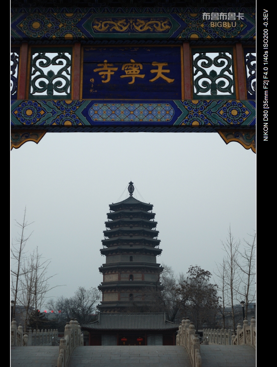 DSC_5177.jpg