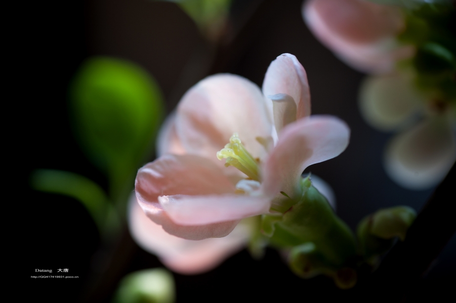 DSC_79871.jpg