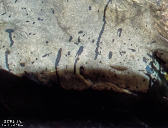 hdr4-673x513.jpg