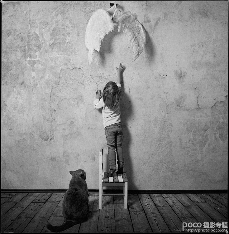 童年那只猫3.jpg